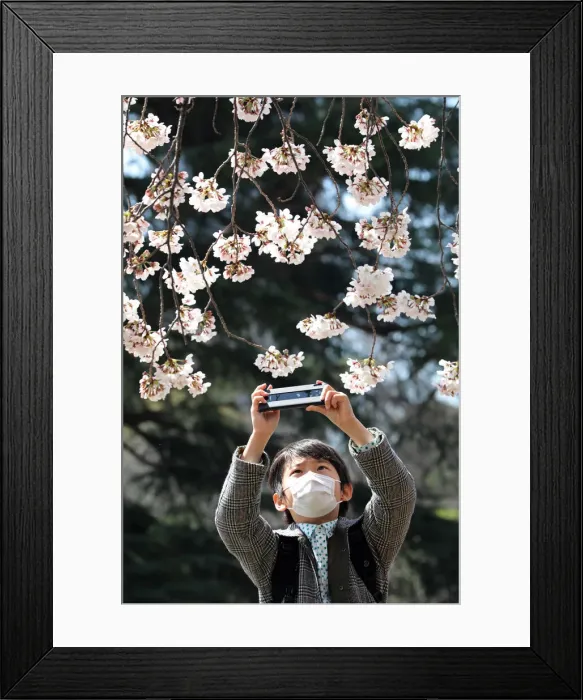 Framed Print : 13132523. Fear of the Coronavirus didnt stop the Japanese taking part in Framed Print : 13132523. Fear of the Coronavirus didnt stop the Japanese taking part in