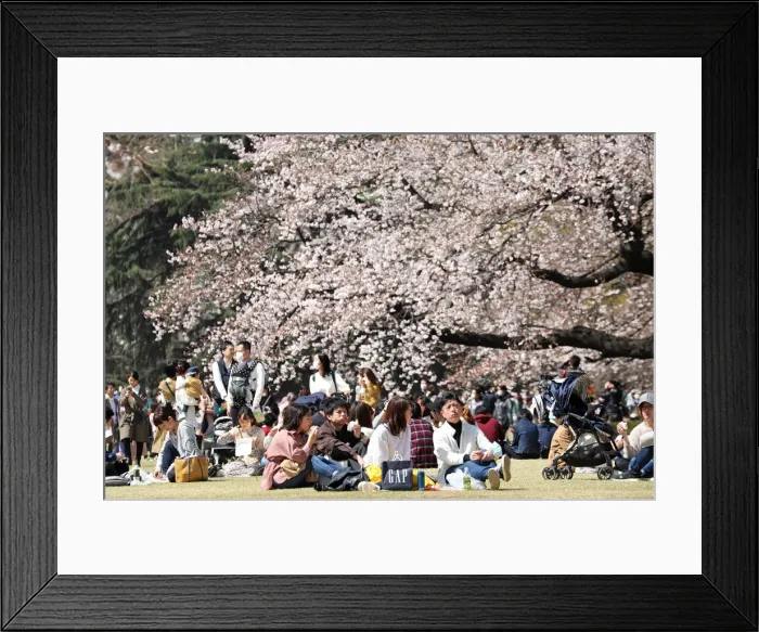 Framed Print : 13132524. Fear of the Coronavirus didnt stop the Japanese taking part in Framed Print : 13132524. Fear of the Coronavirus didnt stop the Japanese taking part in