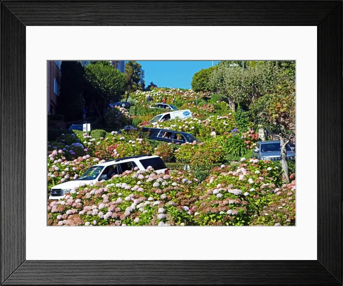 Framed Print : 13132528. Lombard Street, the crookedest street in the workd in San Franciso Framed Print : 13132528. Lombard Street, the crookedest street in the workd in San Franciso