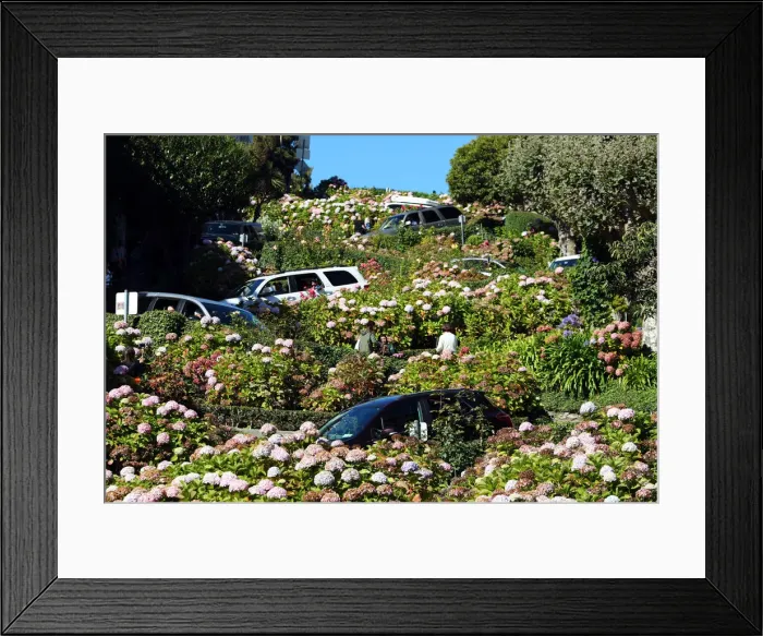 Framed Print : 13132529. Lombard Street, the crookedest street in the workd in San Franciso Framed Print : 13132529. Lombard Street, the crookedest street in the workd in San Franciso