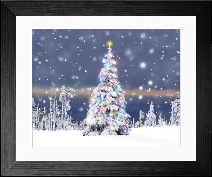 Framed Print : 13132618. Christmas Tree - with Christmas lights and star in winter snow Date Framed Print : 13132618. Christmas Tree - with Christmas lights and star in winter snow Date
