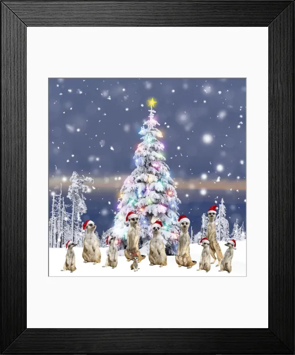 Framed Print : 13132620. Meerkats Framed Print : 13132620. Meerkats