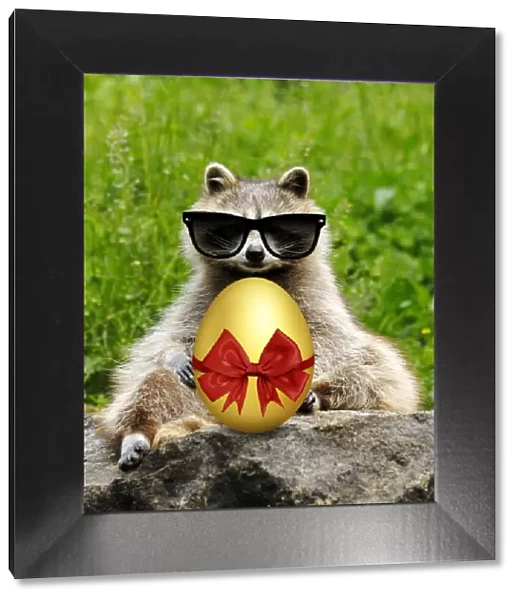 13132621. Raccoon with Easter egg wearing sunglasses Date