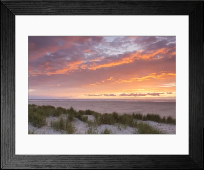 Framed Print : 13132648. Dune at sunset - isle of Texel - Netherlands Date Framed Print : 13132648. Dune at sunset - isle of Texel - Netherlands Date