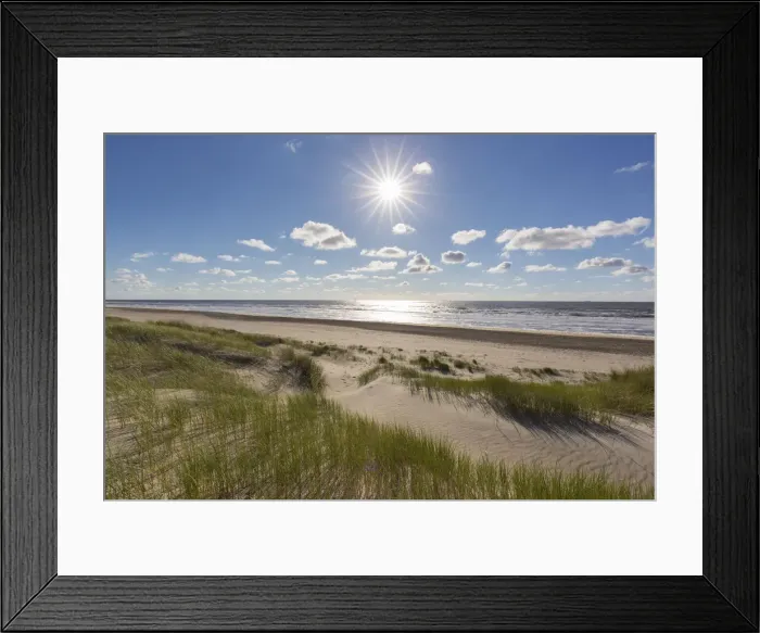 Framed Print : 13132649. Dune landscape - isle of Texel - Netherlands Date Framed Print : 13132649. Dune landscape - isle of Texel - Netherlands Date
