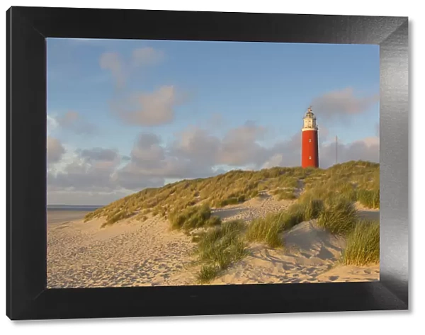 13132661. Lighthouse Eierland - Isle of Texel - Noord-Holland, Netherlands Date