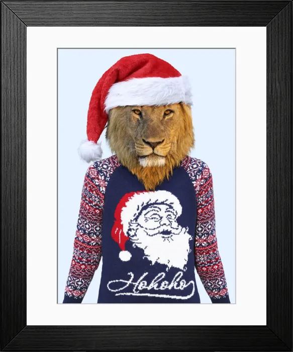 Framed Print : 13132669. Lion, male wearing Christmas jumper and Christmas hat Date Framed Print : 13132669. Lion, male wearing Christmas jumper and Christmas hat Date