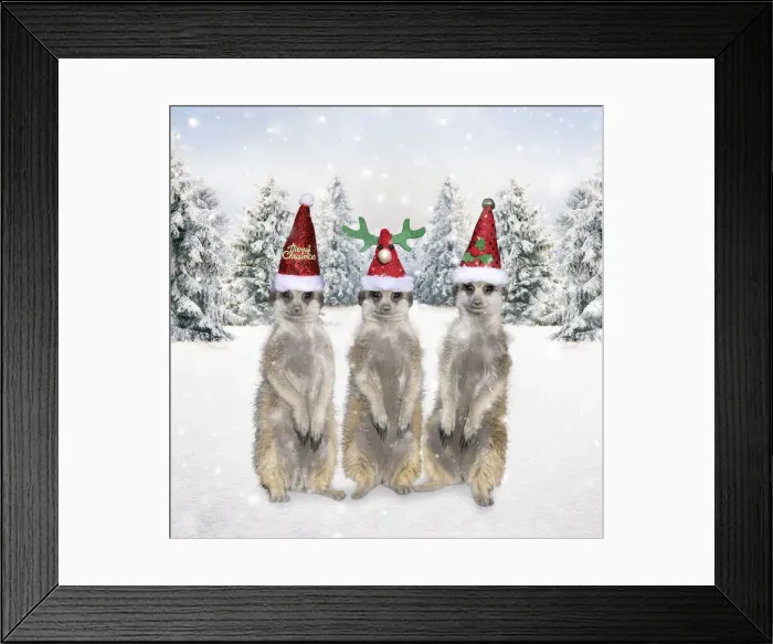 Framed Print : 13132674. Meerkats with Christmas hats in winter snow scene Date Framed Print : 13132674. Meerkats with Christmas hats in winter snow scene Date
