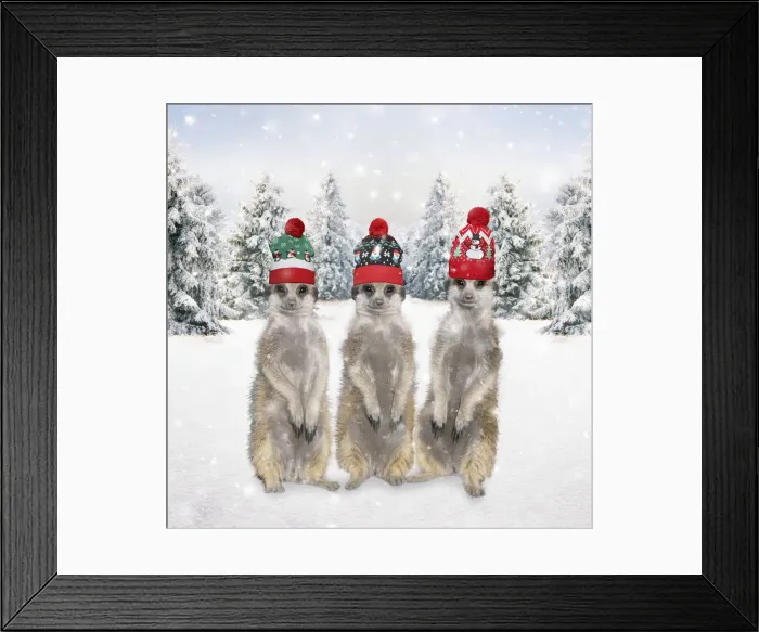 Framed Print : 13132675. Meerkats with Christmas hats in winter snow scene Date Framed Print : 13132675. Meerkats with Christmas hats in winter snow scene Date