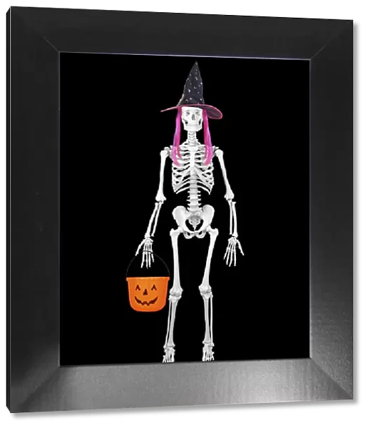 13131741. Human Skeleton with Halloween props Date