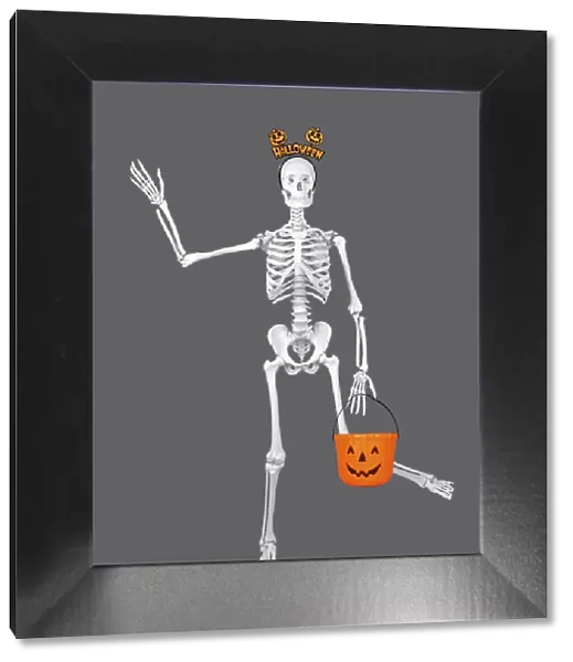 13131742. Human Skeleton with Halloween props Date