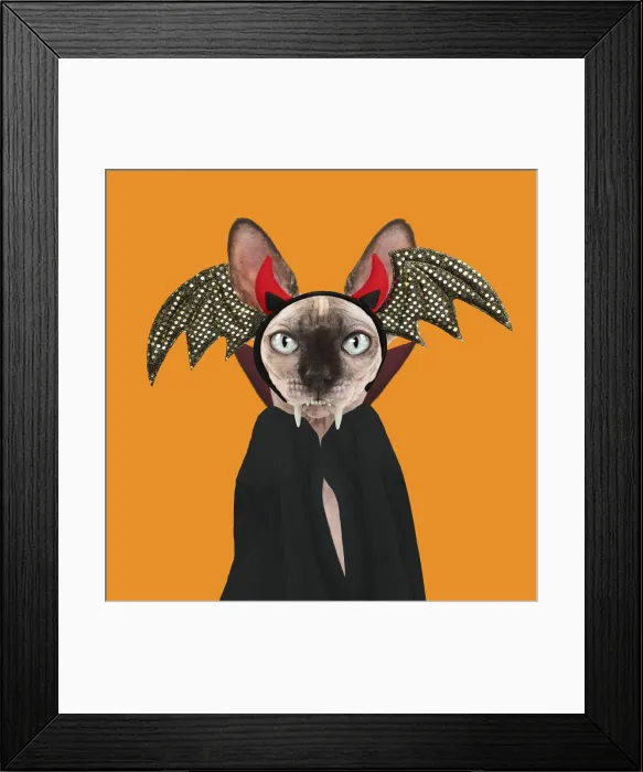 Framed Print : 13131745. Sphynx Cat, dresssed as Dracula Date Framed Print : 13131745. Sphynx Cat, dresssed as Dracula Date