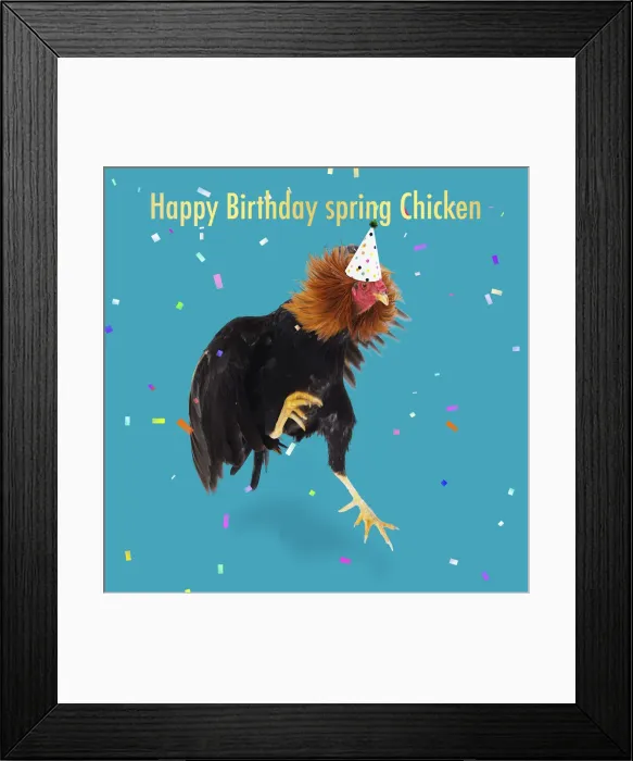 Framed Print : 13131755. Combattant du Nord - Cockerel / Rooster - jumping with party hat Framed Print : 13131755. Combattant du Nord - Cockerel / Rooster - jumping with party hat