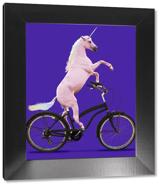 13131761. Unicorn, riding a bike Date
