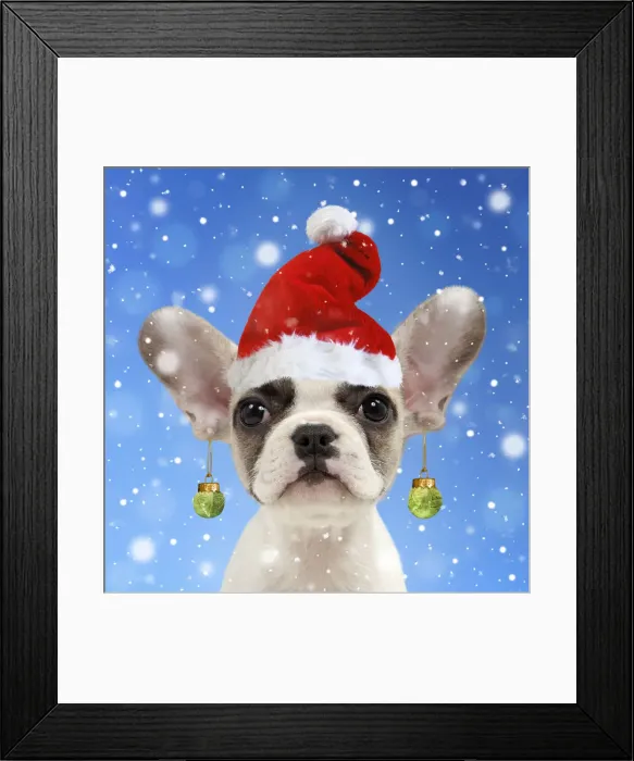 Framed Print : 13131790. French Framed Print : 13131790. French