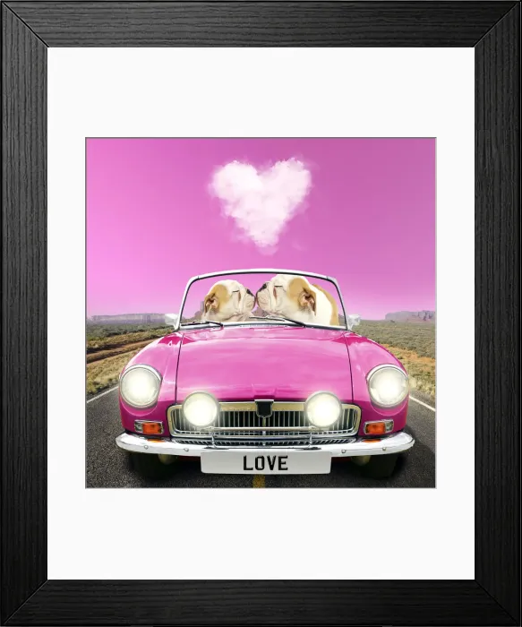 Framed Print : 13131792. English Bulldog puppies, pair driving car kissing Date Framed Print : 13131792. English Bulldog puppies, pair driving car kissing Date