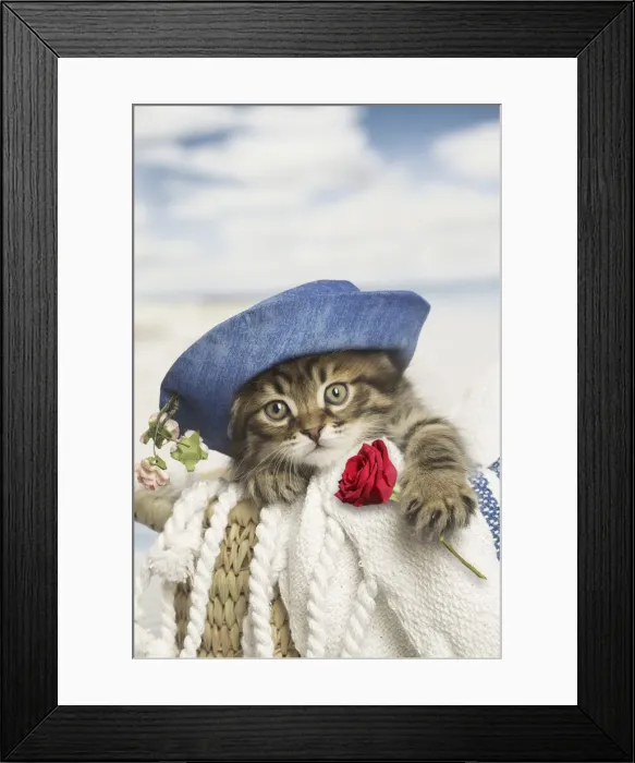 Framed Print : 13131812. Siberian kitten with hat holding rose Date Framed Print : 13131812. Siberian kitten with hat holding rose Date