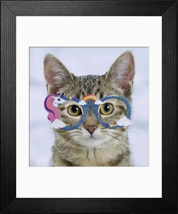 Framed Print : 13132272. Domestic Cat - 6 month old kitten wearing unicorn glasses Date Framed Print : 13132272. Domestic Cat - 6 month old kitten wearing unicorn glasses Date