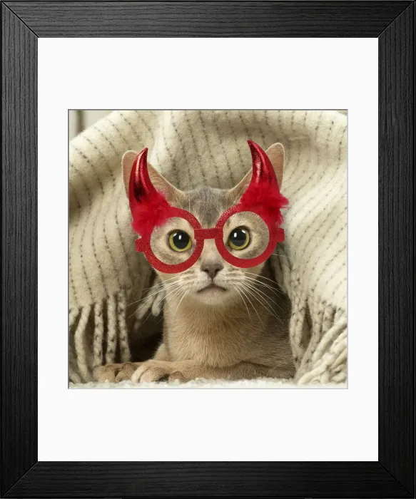 Framed Print : 13132295. Abyssinian kitten indoors wearing red Halloween devil horn glasses Date Framed Print : 13132295. Abyssinian kitten indoors wearing red Halloween devil horn glasses Date