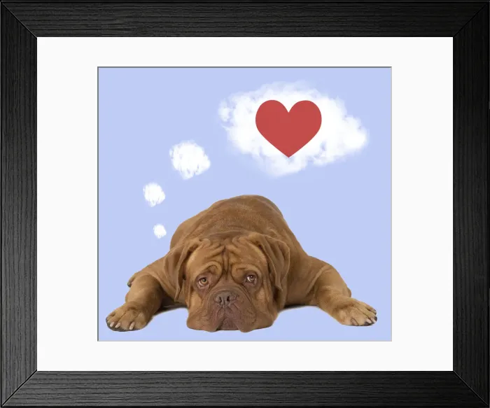 Framed Print : 13132298. Dog - Dogue de Bordeaux dreaming of a red heart and love Date Framed Print : 13132298. Dog - Dogue de Bordeaux dreaming of a red heart and love Date