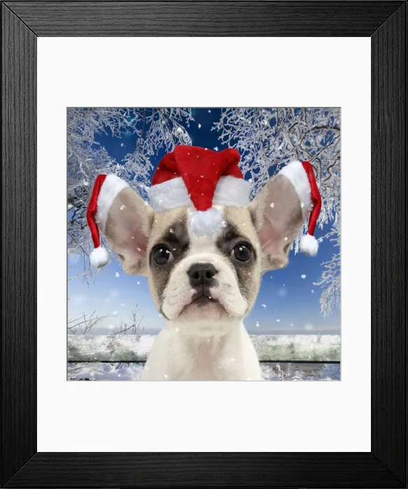 Framed Print : 13132440. French Bulldog puppy wearing Christmas hats in snow Date Framed Print : 13132440. French Bulldog puppy wearing Christmas hats in snow Date