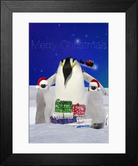 Framed Print : 13132690. Emperor Penguin, adult and two chicks with Christmas hats and presents Date Framed Print : 13132690. Emperor Penguin, adult and two chicks with Christmas hats and presents Date