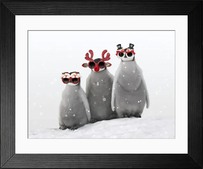 Framed Print : 13132702. Emperor Penguin, chicks wearing Christmas glasses in winter snow Date Framed Print : 13132702. Emperor Penguin, chicks wearing Christmas glasses in winter snow Date