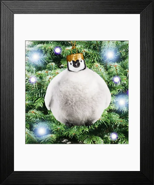 Framed Print : 13132701. Emperor Penguin, Young chick as a bauble Date Framed Print : 13132701. Emperor Penguin, Young chick as a bauble Date