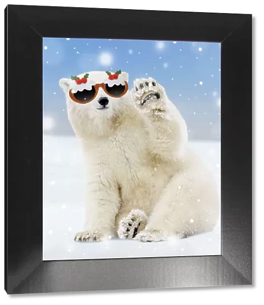 13132716. Polar Bear - young bear waving and wearing Chirstmas glasses Date