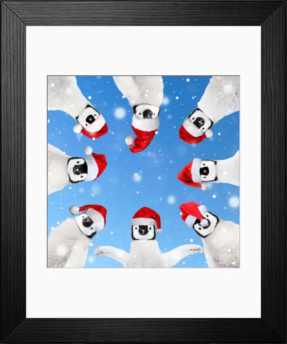Framed Print : 13132719. Group of Penguins wearing Christmas hats in a circle looking down Date Framed Print : 13132719. Group of Penguins wearing Christmas hats in a circle looking down Date