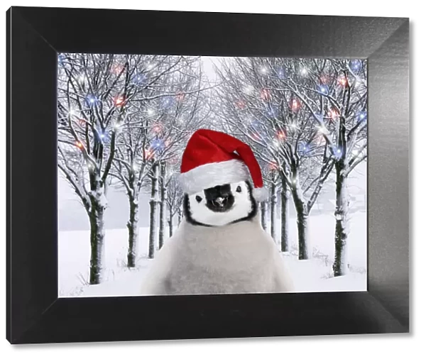 13132720. Penguin chick in Christmas hat in tree-lined avenue with Christmas lights Date