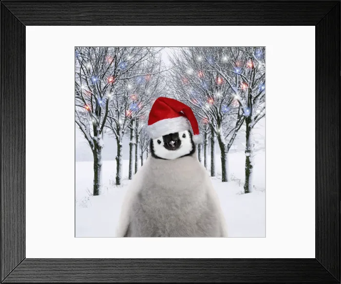 Framed Print : 13132720. Penguin chick in Christmas hat in tree-lined avenue with Christmas lights Date Framed Print : 13132720. Penguin chick in Christmas hat in tree-lined avenue with Christmas lights Date