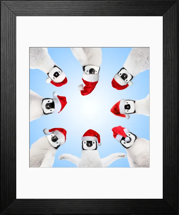 Framed Print : 13132721. Penguin chicks wearing Christmas hats in a circle looking down Date Framed Print : 13132721. Penguin chicks wearing Christmas hats in a circle looking down Date