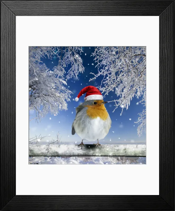 Framed Print : 13132677. Robin, perched on fence wearing Christmas hat in snow Date Framed Print : 13132677. Robin, perched on fence wearing Christmas hat in snow Date