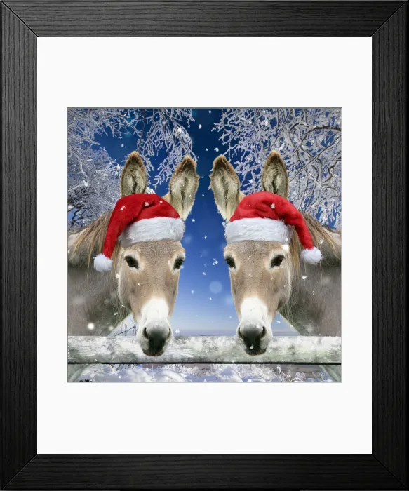 Framed Print : 13132685. Two Donkeys - looking over fence wearing Christmas hats in snow Date