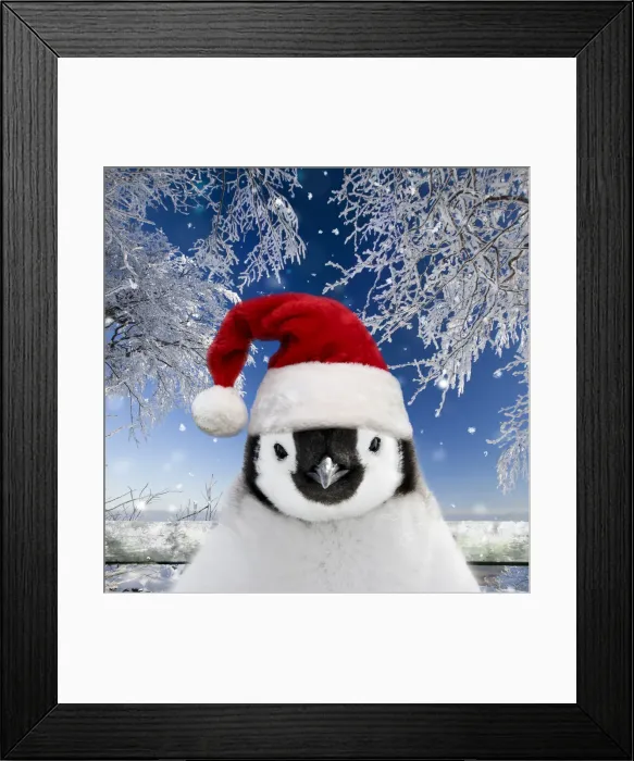 Framed Print : 13132688. Penguin chick wearing Christmas hat in snow Date Framed Print : 13132688. Penguin chick wearing Christmas hat in snow Date