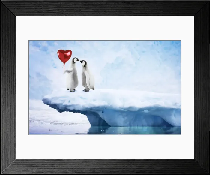 Framed Print : A-011-M. Emperor Penguin on iceberg, kissing holding red heart shaped helium Framed Print : A-011-M. Emperor Penguin on iceberg, kissing holding red heart shaped helium
