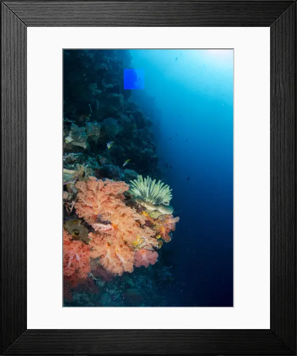 Framed Print : UW ET 1807 11 Framed Print : UW ET 1807 11