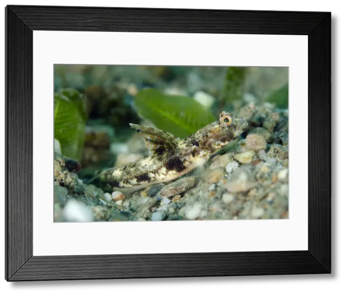 Framed Print : UW ET 1813 02