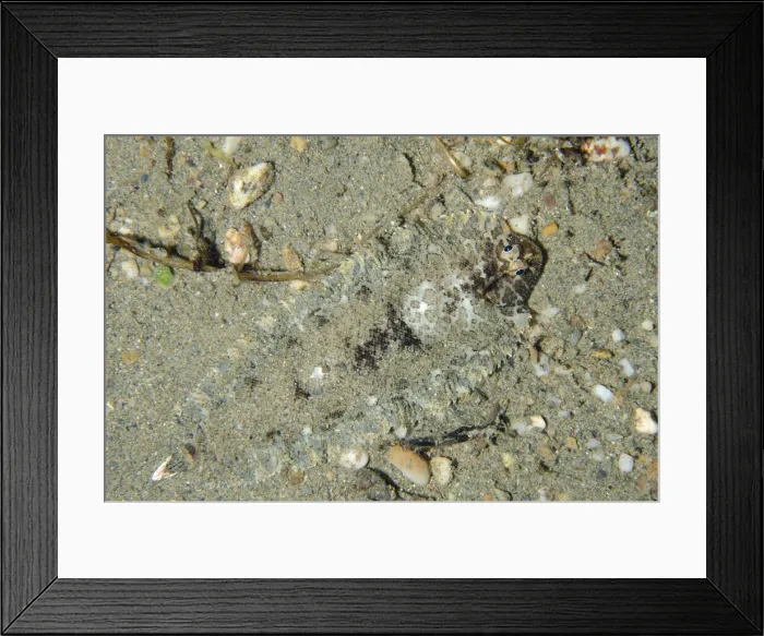Framed Print : UW ET 1814 42 Framed Print : UW ET 1814 42