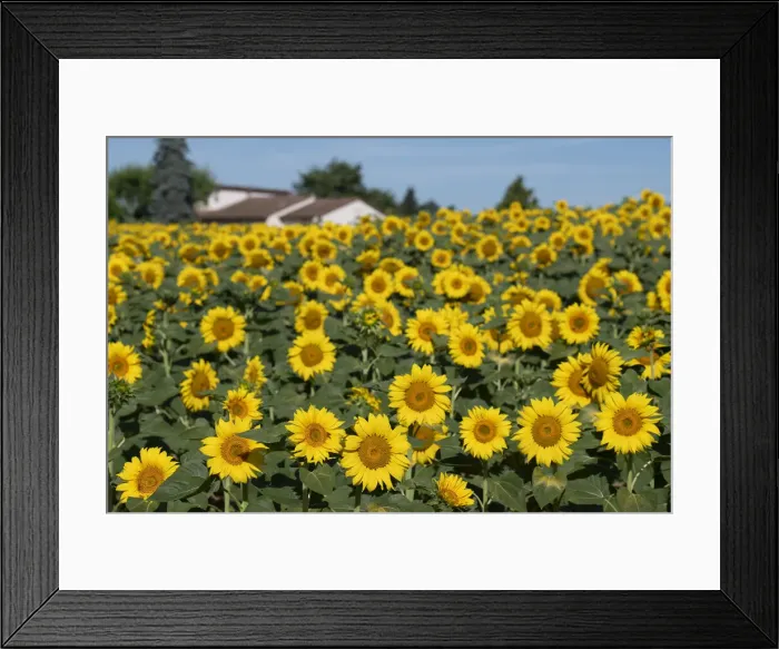 Framed Print : FRA 19-07 280 Framed Print : FRA 19-07 280