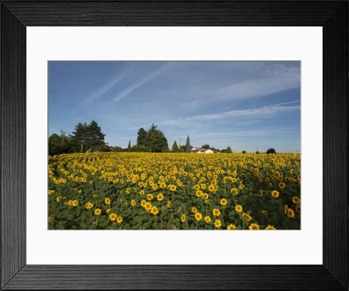 Framed Print : FRA 19-07 353 Framed Print : FRA 19-07 353