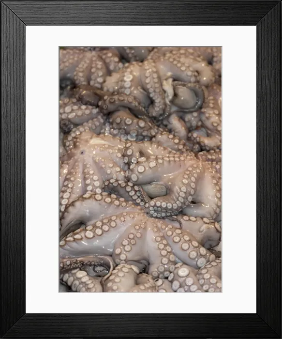 Framed Print : ITA 11-12 990 Framed Print : ITA 11-12 990