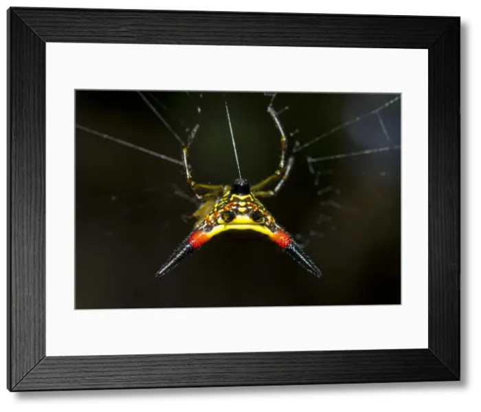 Framed Print : INDO 20-06 81 Framed Print : INDO 20-06 81