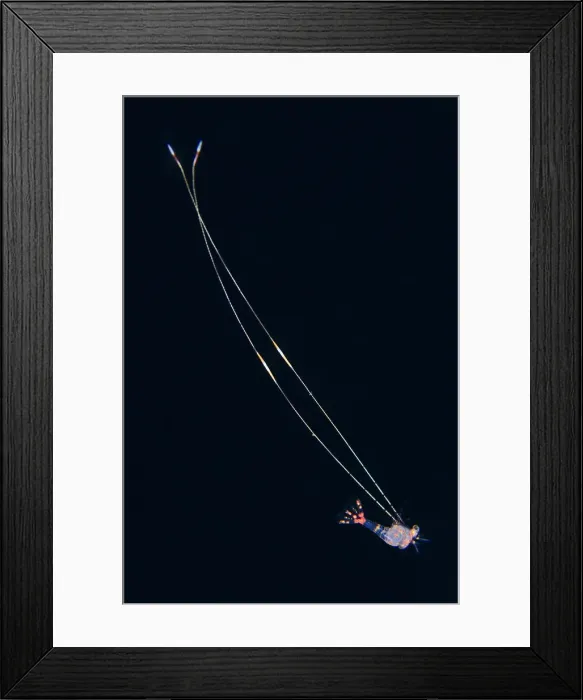 Framed Print : UW INDO 2026 20 Framed Print : UW INDO 2026 20