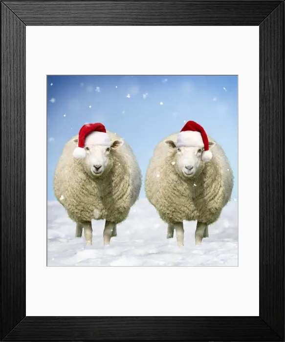 Framed Print : FEU-158-M1 Framed Print : FEU-158-M1