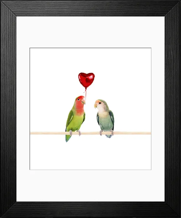 Framed Print : Rosy-faced / Peach-faced Lovebirds one holding heart-shaped balloon Framed Print : Rosy-faced / Peach-faced Lovebirds one holding heart-shaped balloon