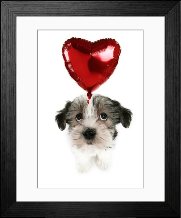 Framed Print : JD-19359-M Framed Print : JD-19359-M