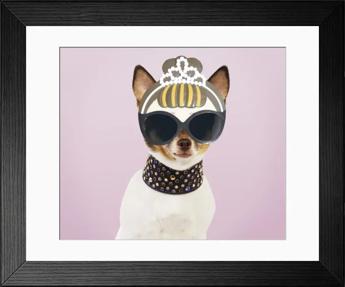 Framed Print : JD-22059-M Framed Print : JD-22059-M