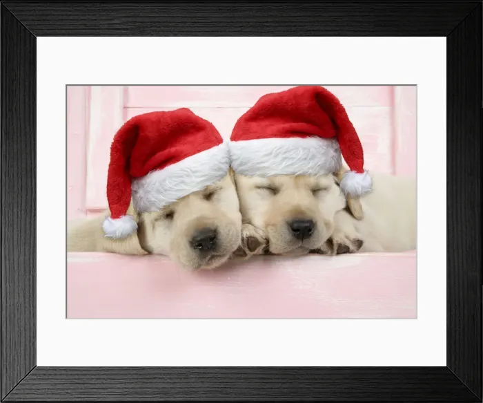Framed Print : JD-19203-M Framed Print : JD-19203-M